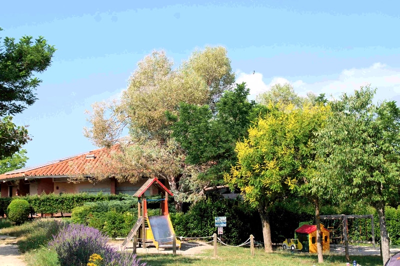 Les Pins Provenza-Alpes-Costa Azul - Les Salles-sur-Verdon visuel 4/10 Les Pins Provenza-Alpes-Costa Azul - Les Salles-sur-Verdon visuel 4/10