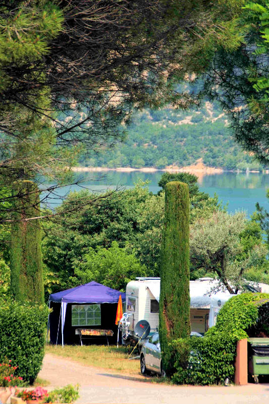 Les Pins Provenza-Alpes-Costa Azul - Les Salles-sur-Verdon visuel 10/10 Les Pins Provenza-Alpes-Costa Azul - Les Salles-sur-Verdon visuel 10/10