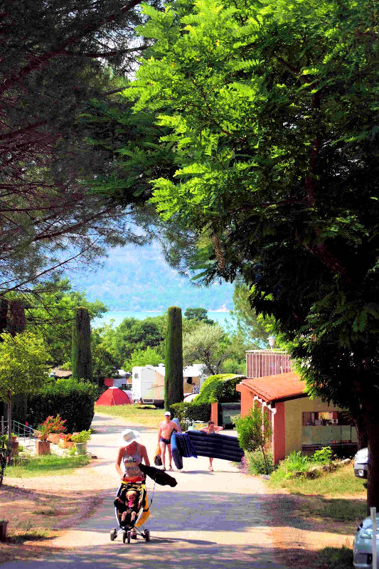 Les Pins Provenza-Alpes-Costa Azul - Les Salles-sur-Verdon visuel 8/10 Les Pins Provenza-Alpes-Costa Azul - Les Salles-sur-Verdon visuel 8/10