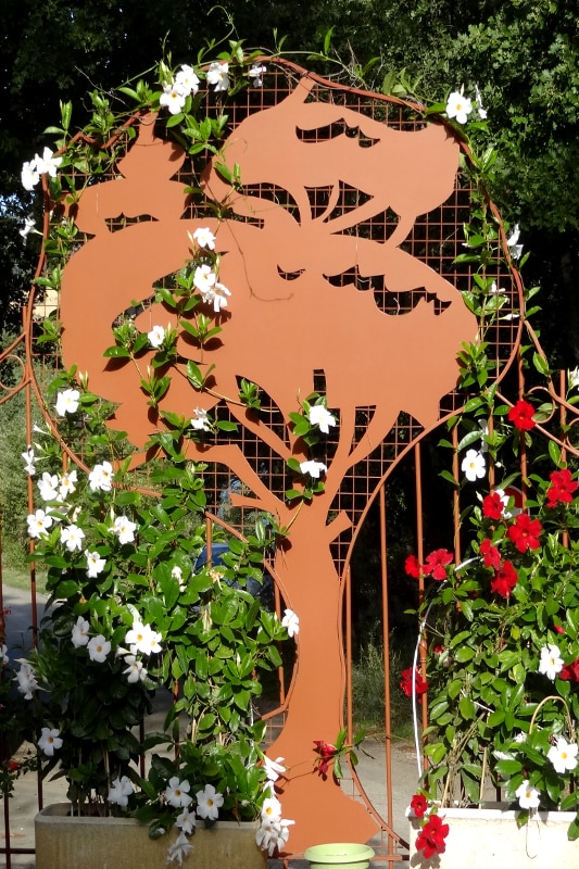 Les Pins Provenza-Alpes-Costa Azul - Les Salles-sur-Verdon visuel 7/10 Les Pins Provenza-Alpes-Costa Azul - Les Salles-sur-Verdon visuel 7/10