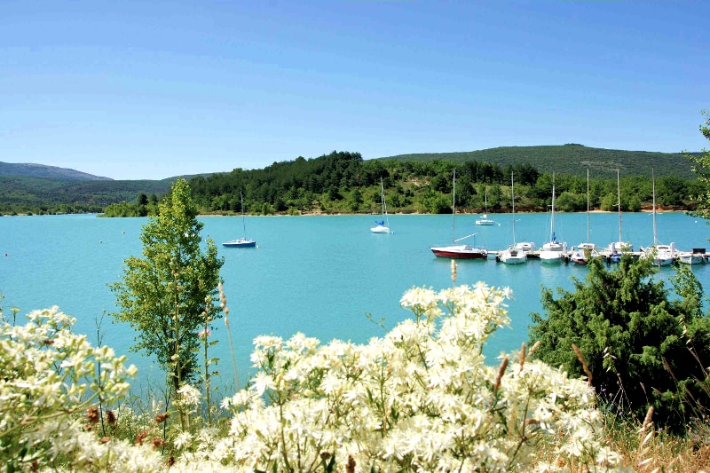 Les Pins Provenza-Alpes-Costa Azul - Les Salles-sur-Verdon visuel 6/10 Les Pins Provenza-Alpes-Costa Azul - Les Salles-sur-Verdon visuel 6/10