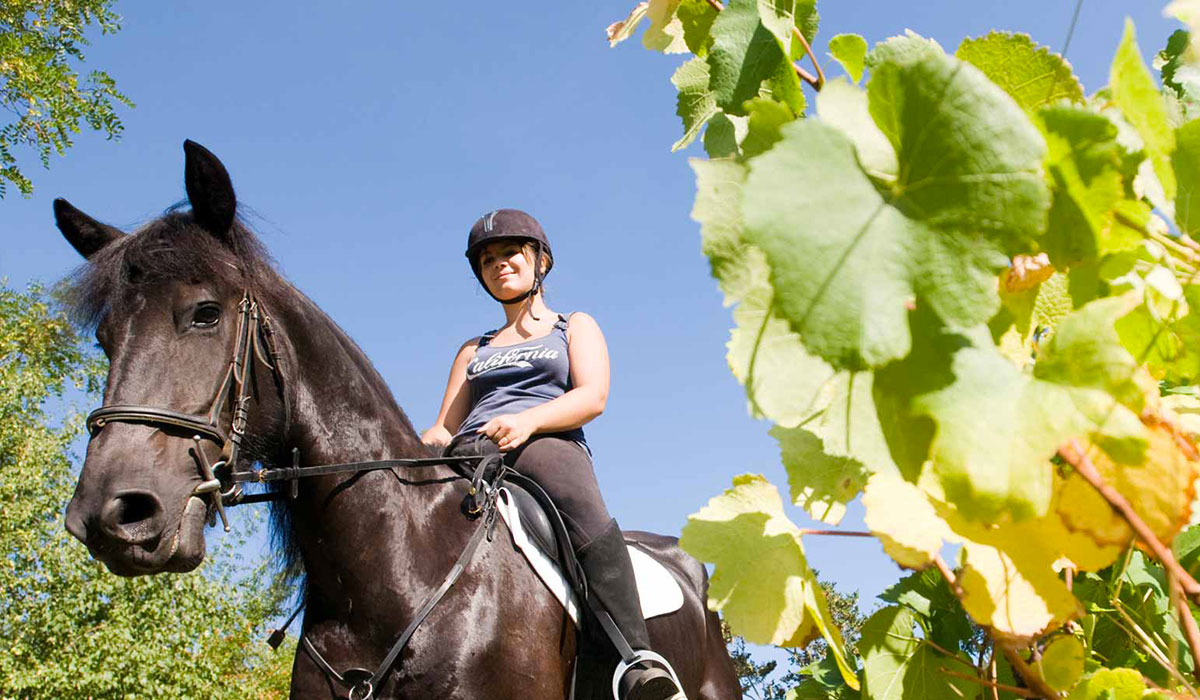 Les Plages de l'Ain Ródano-Alpes - Saint-Maurice-de-Gourdans visuel 6/7 Les Plages de l'Ain Ródano-Alpes - Saint-Maurice-de-Gourdans visuel 6/7