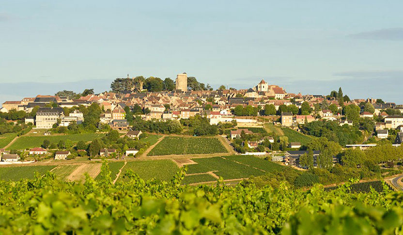 Les Portes de Sancerre centro valle - Saint-Satur visuel 6/7