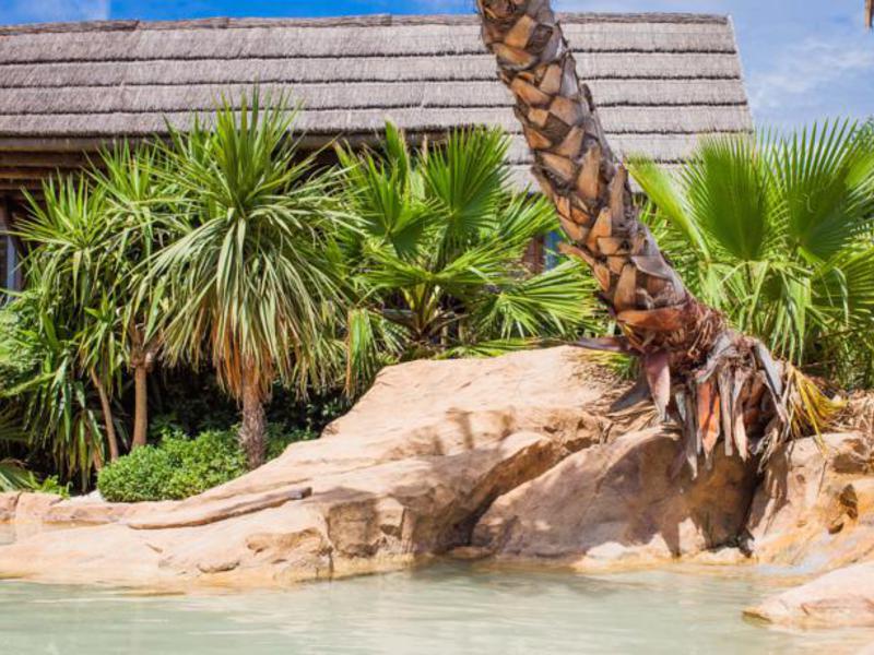 Les Prairies de la Mer Provenza-Alpes-Costa Azul - Port grimaud visuel 10/26 Les Prairies de la Mer Provenza-Alpes-Costa Azul - Port grimaud visuel 10/26