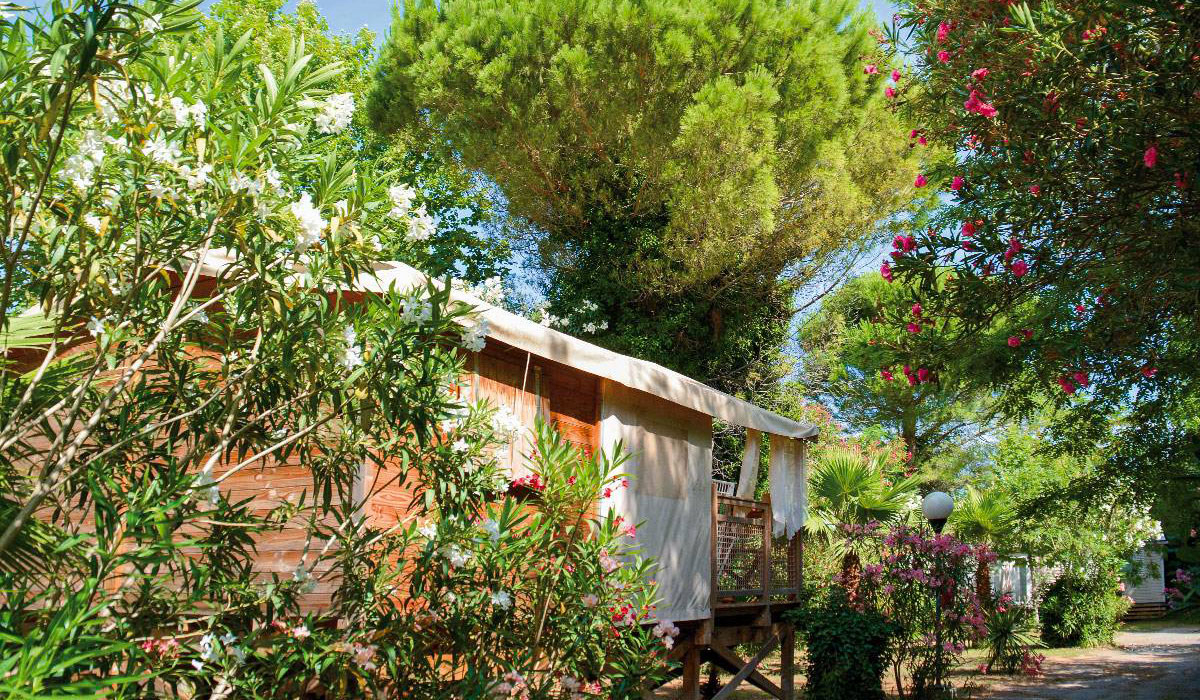 Les Pêcheurs Provenza-Alpes-Costa Azul - Roquebrune-sur Argens visuel 5/21