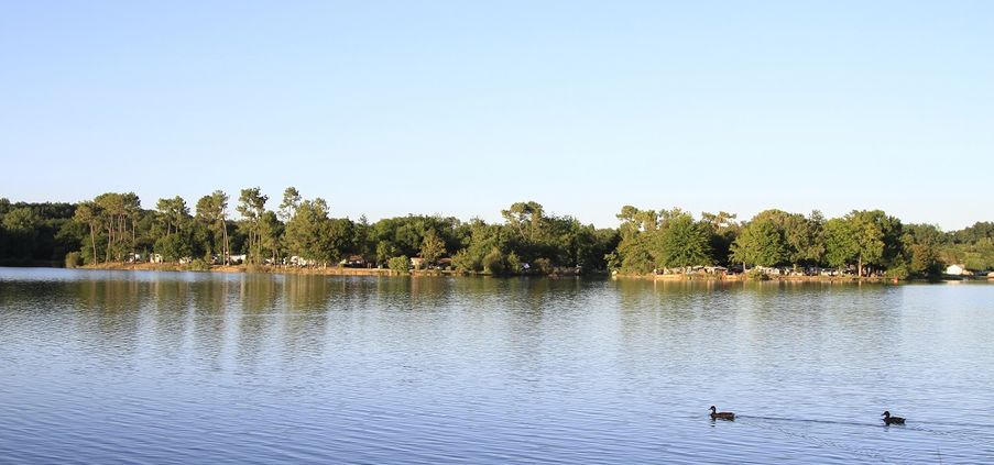 Les Rives du Lac Mediodía-Pirineos - Cazaubon visuel 11/13 Les Rives du Lac Mediodía-Pirineos - Cazaubon visuel 11/13