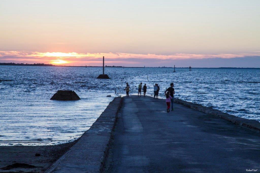 Les Roussieres Países del Loira - Noirmoutier-en-l'Île visuel 8/8