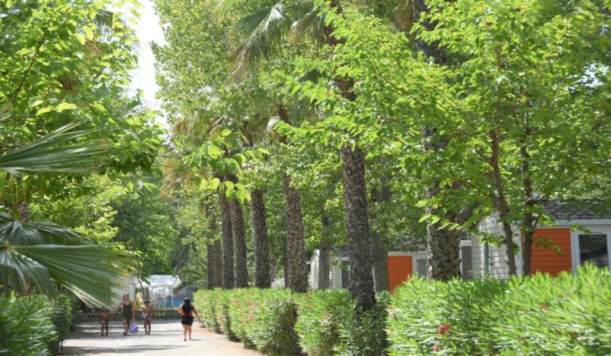 Les Salisses Languedoc-Rosellón - Vias visuel 4/9 Les Salisses Languedoc-Rosellón - Vias visuel 4/9