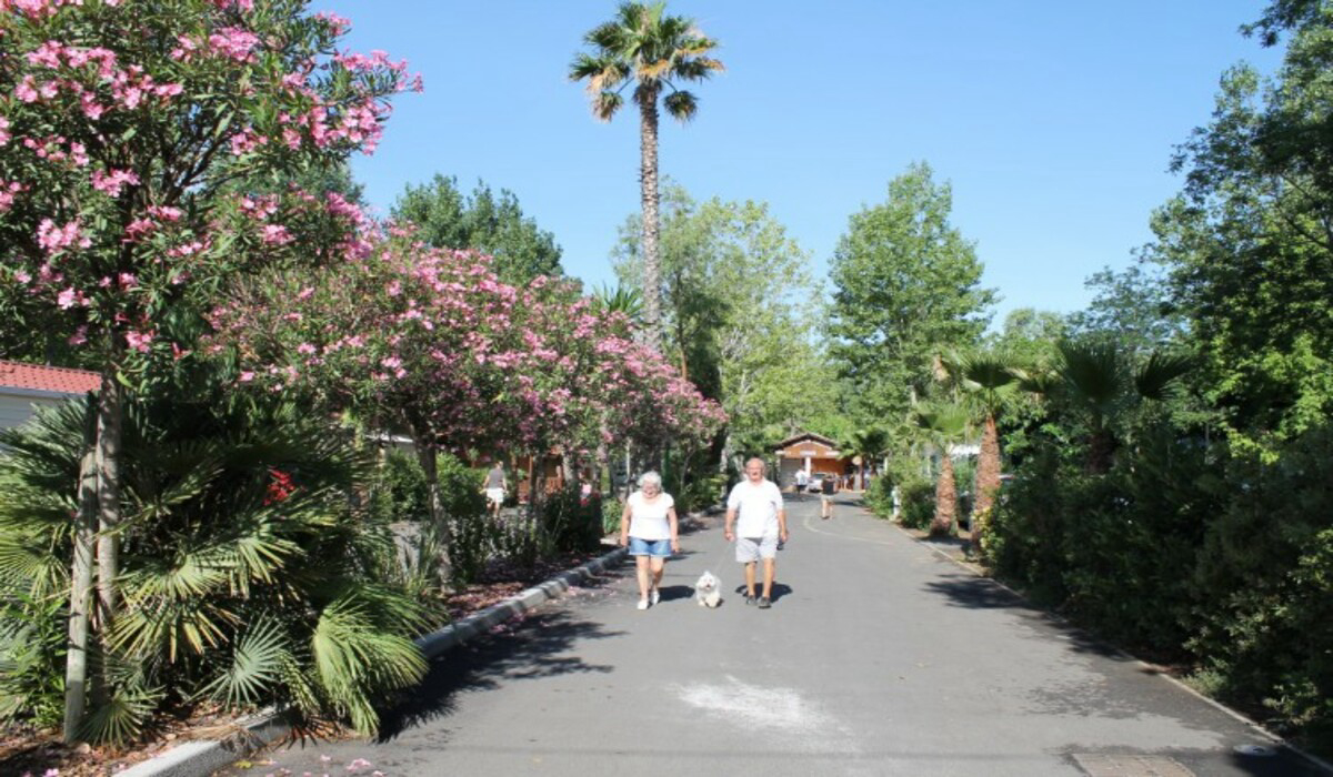 Les Salisses Languedoc-Rosellón - Vias visuel 8/9 Les Salisses Languedoc-Rosellón - Vias visuel 8/9