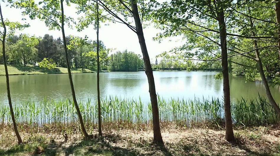 Les Sapins Alsacia - Keskastel visuel 1/4