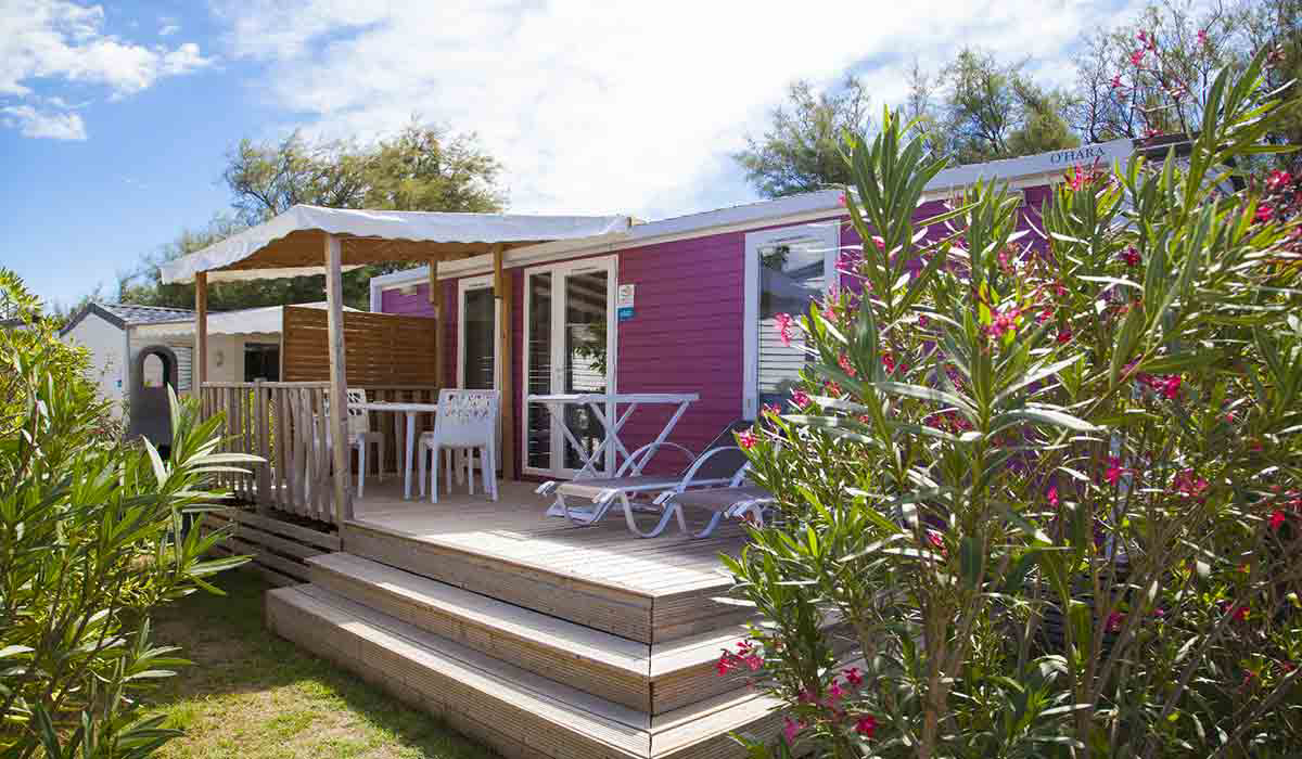 Les Tamaris Languedoc-Rosellón - Frontignan visuel 11/17