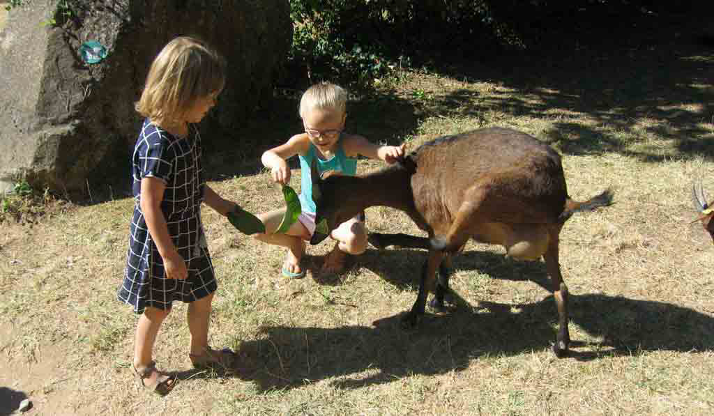 Les Tomasses Provenza-Alpes-Costa Azul - Belgentier visuel 6/8