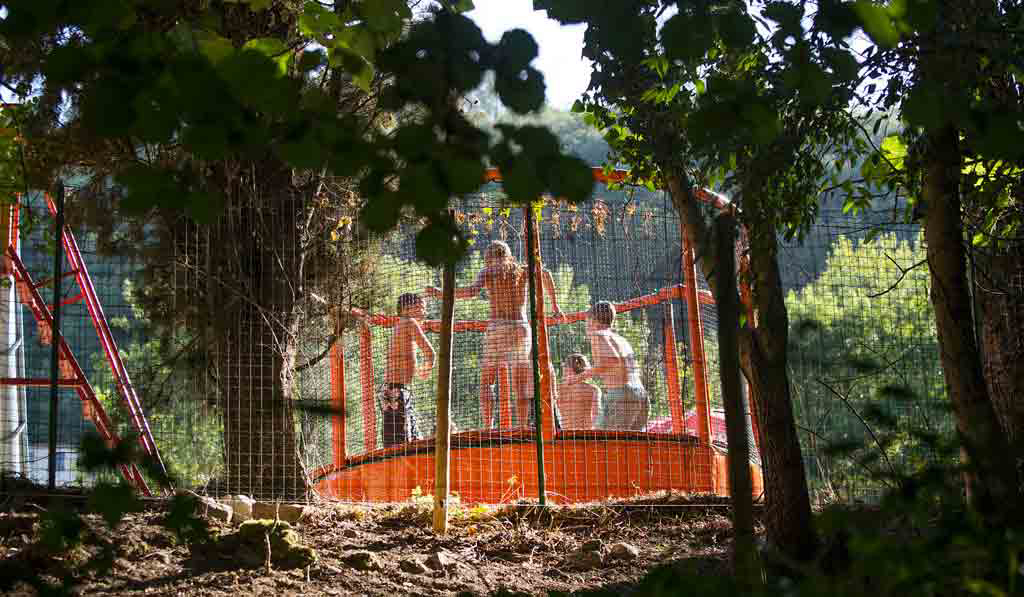 Les Tomasses Provenza-Alpes-Costa Azul - Belgentier visuel 2/8