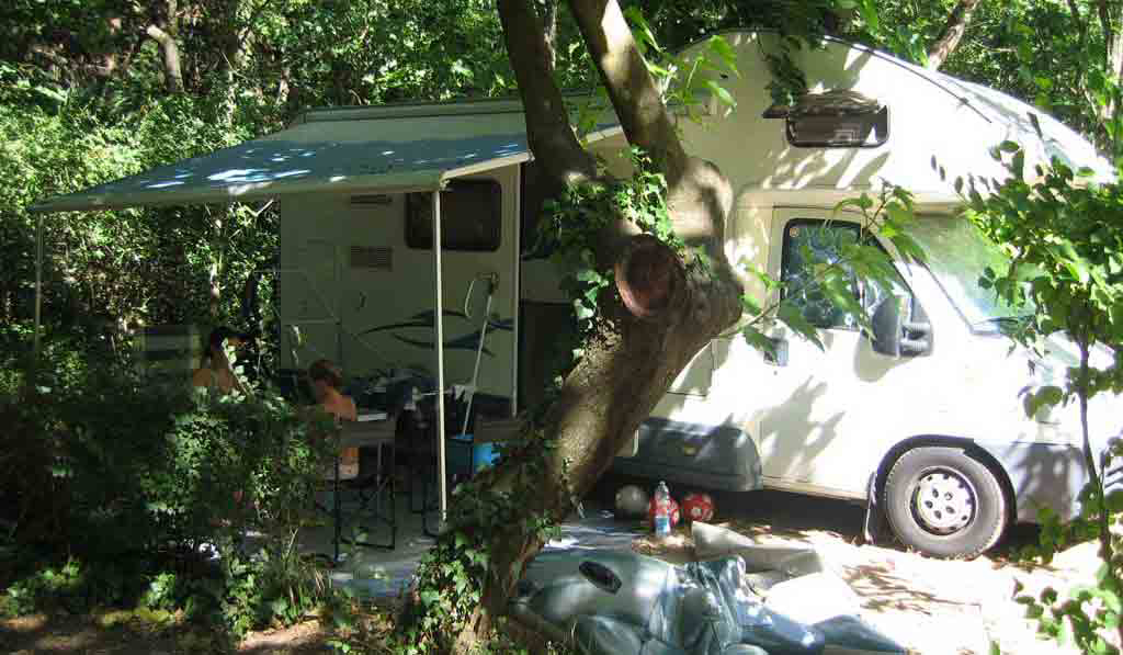 Les Tomasses Provenza-Alpes-Costa Azul - Belgentier visuel 5/8