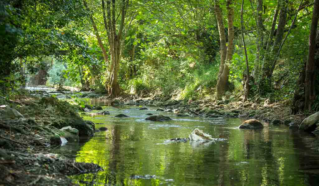 Les Tomasses Provenza-Alpes-Costa Azul - Belgentier visuel 8/8