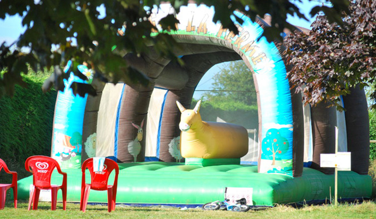 Les Tournesols Países del Loira - Le Grez visuel 4/5 Les Tournesols Países del Loira - Le Grez visuel 4/5