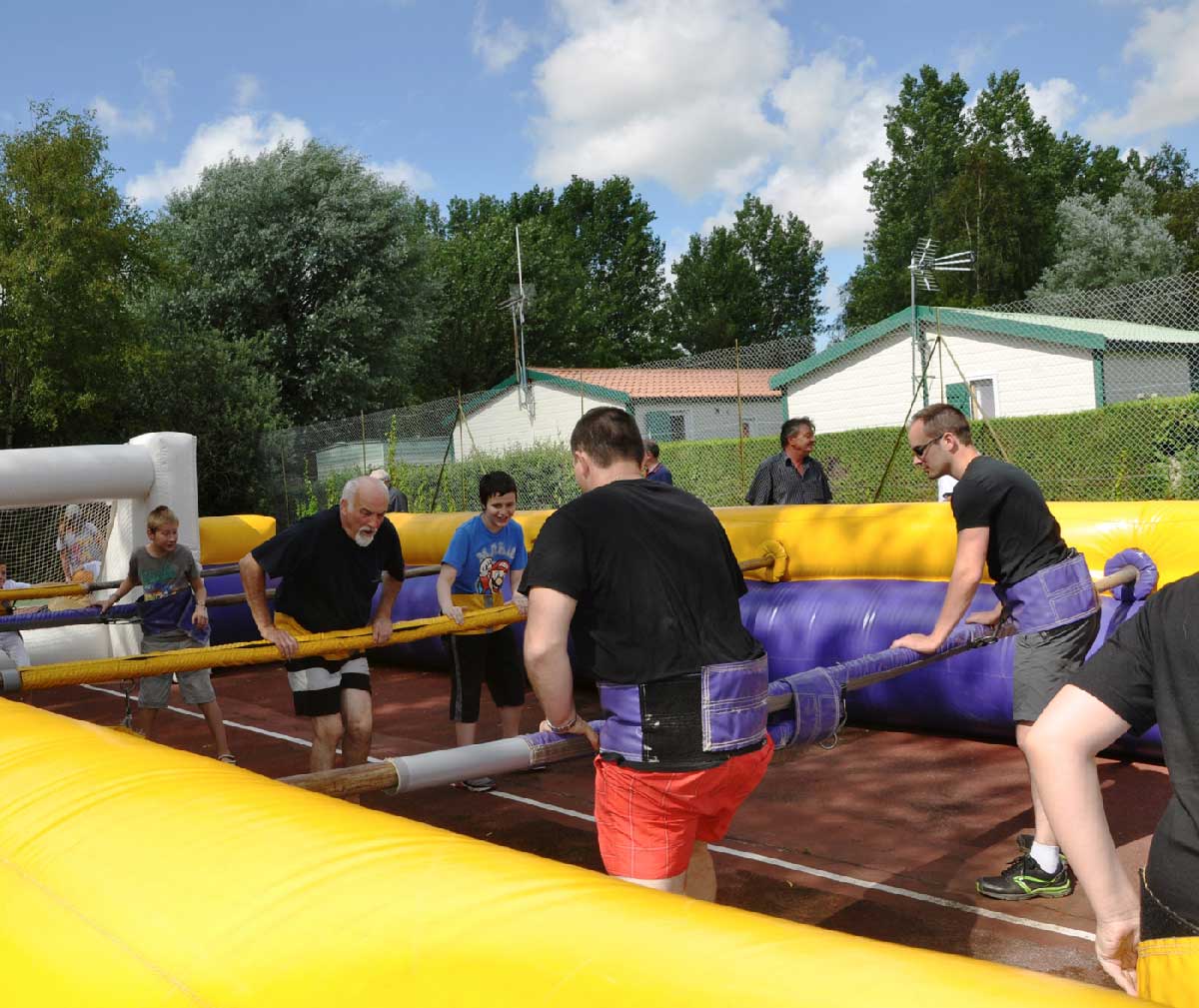 Les Tourterelles Norte-Paso de Calais - Rang-du-Fliers visuel 8/10