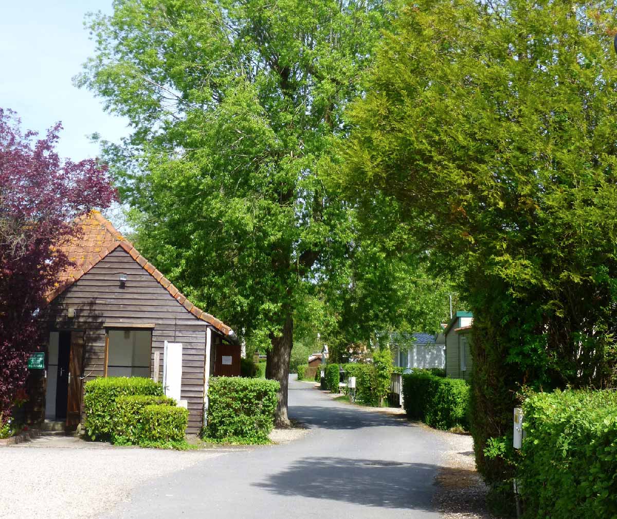 Les Tourterelles Norte-Paso de Calais - Rang-du-Fliers visuel 5/10