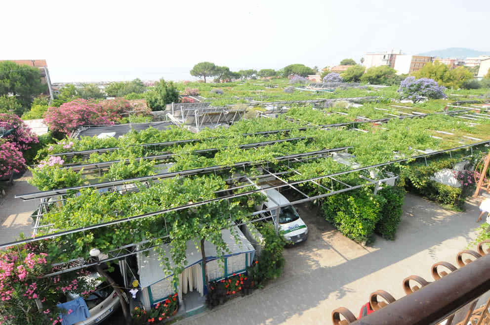 Lino Liguria - Cervo visuel 3/3