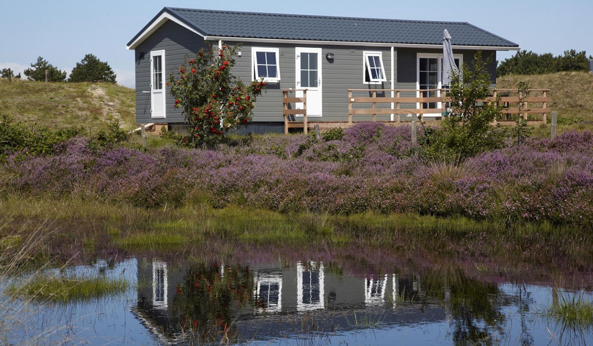 Loodsmansduin Holanda Septentrional - Texel visuel 2/3