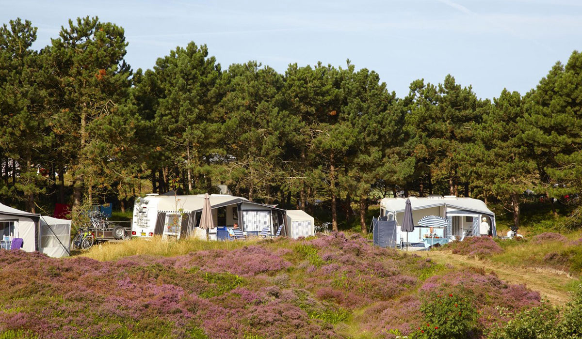Loodsmansduin Holanda Septentrional - Texel visuel 3/3