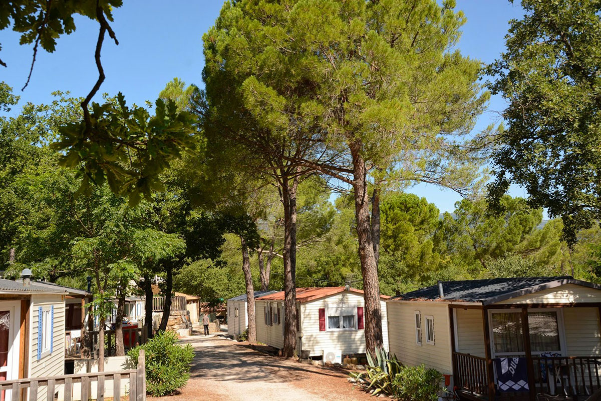 Lou Cantaire Provenza-Alpes-Costa Azul - Fayence visuel 7/16