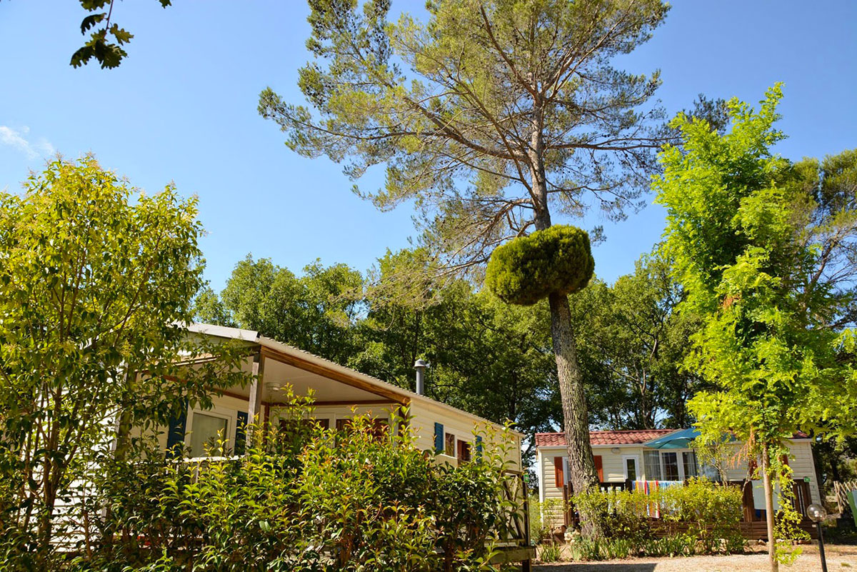 Lou Cantaire Provenza-Alpes-Costa Azul - Fayence visuel 12/16