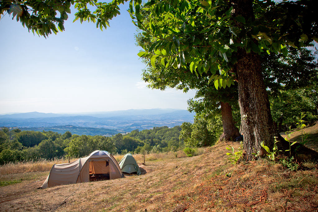 Lucherino Toscana - Cinigiano visuel 2/4