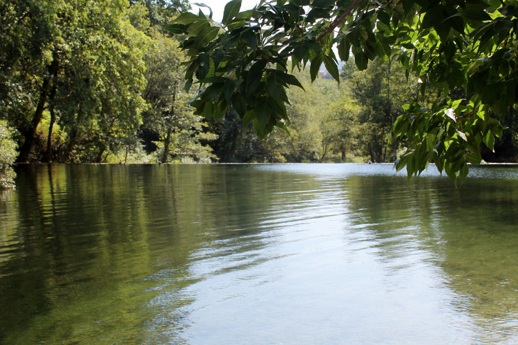 Maceira Galicia - Covelo visuel 7/8