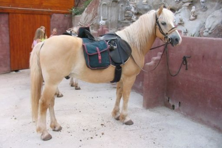 Manso Coguleras Cataluña - Sant Jaume de Llierca visuel 4/7