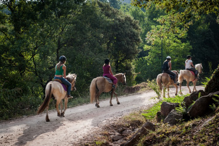 Manso Coguleras Cataluña - Sant Jaume de Llierca visuel 3/7