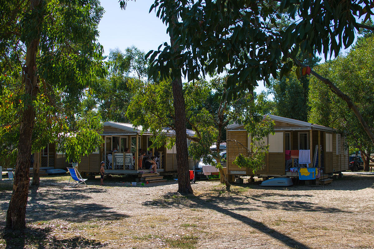 Campéole Médoc Plage Aquitania - Vendays-Montalivet visuel 14/32 Campéole Médoc Plage Aquitania - Vendays-Montalivet visuel 14/32