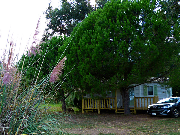 Miami Plage Córcega - Poggio-Mezzana visuel 9/9