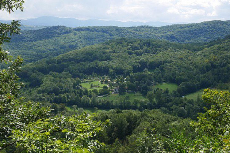 Millefleurs Mediodía-Pirineos - Gudas visuel 2/2 Millefleurs Mediodía-Pirineos - Gudas visuel 2/2