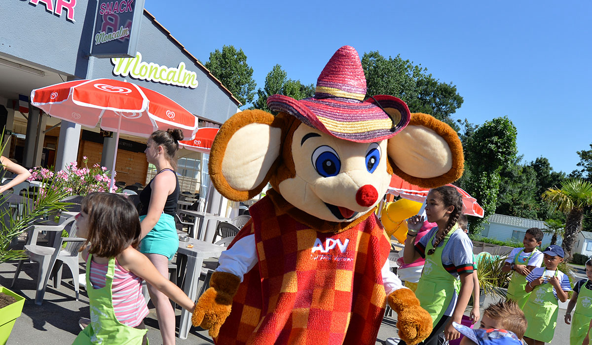 Moncalm Países del Loira - Angles visuel 9/20