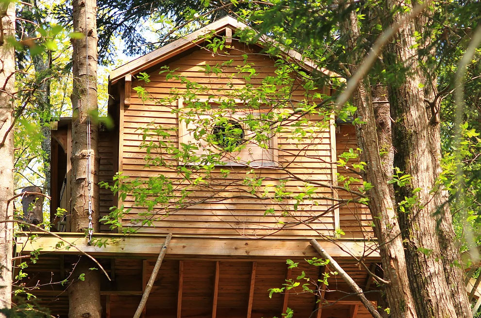 Mont Ôz'Arbres Languedoc-Rosellón - Prats-de-Mollo-la-Preste visuel 1/11 Mont Ôz'Arbres Languedoc-Rosellón - Prats-de-Mollo-la-Preste visuel 1/11