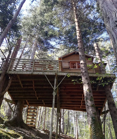 Mont Ôz'Arbres Languedoc-Rosellón - Prats-de-Mollo-la-Preste visuel 7/11 Mont Ôz'Arbres Languedoc-Rosellón - Prats-de-Mollo-la-Preste visuel 7/11