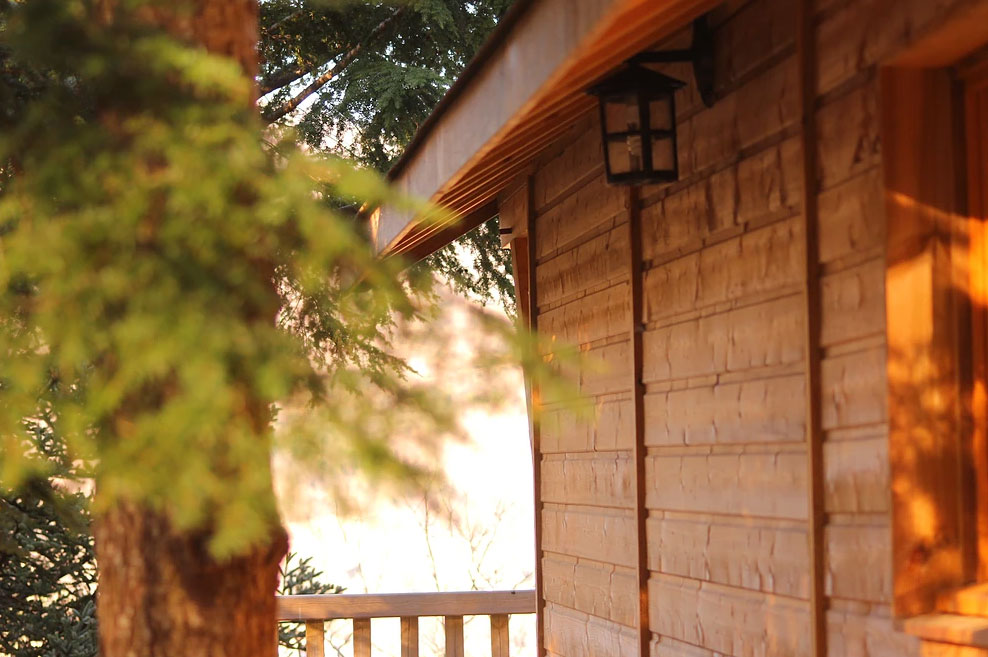 Mont Ôz'Arbres Languedoc-Rosellón - Prats-de-Mollo-la-Preste visuel 11/11 Mont Ôz'Arbres Languedoc-Rosellón - Prats-de-Mollo-la-Preste visuel 11/11