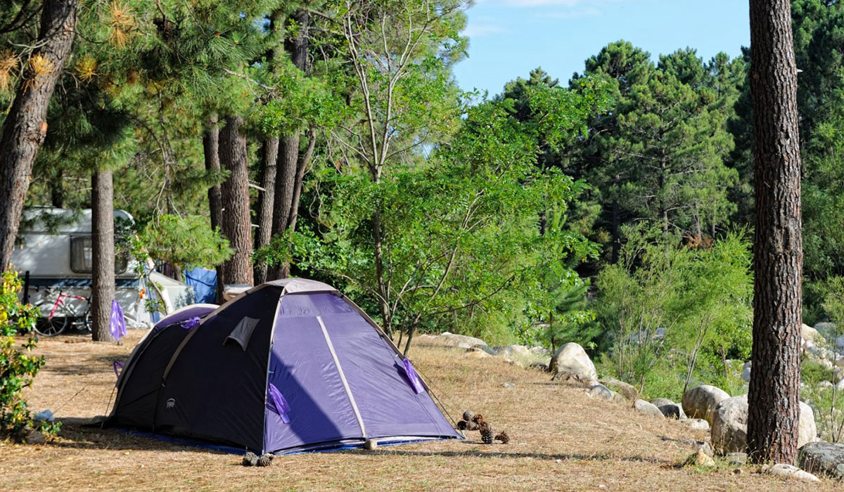 Mulinacciu Córcega - Lecci visuel 2/3 Mulinacciu Córcega - Lecci visuel 2/3