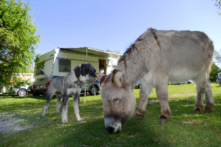 Märchencamping Baja Sajonia - stuhr visuel 3/3