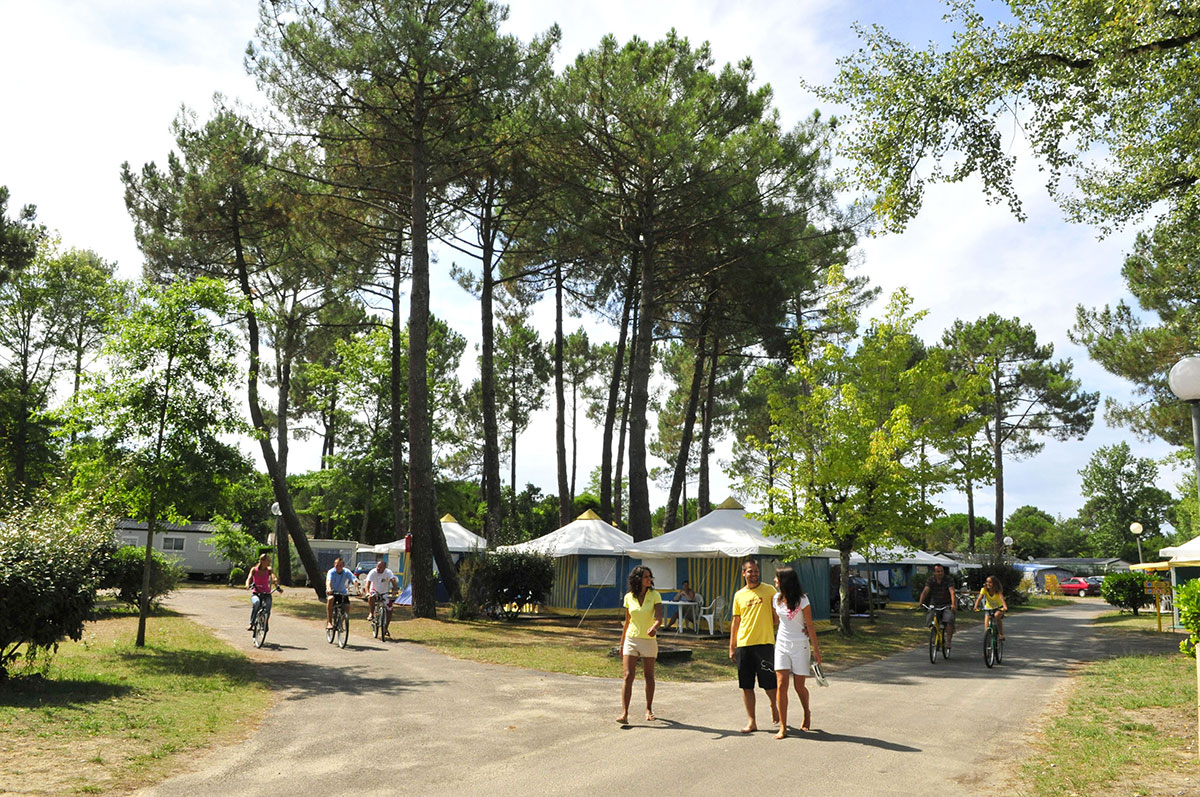 Campéole Navarrosse Plage Aquitania - Biscarrosse visuel 10/38