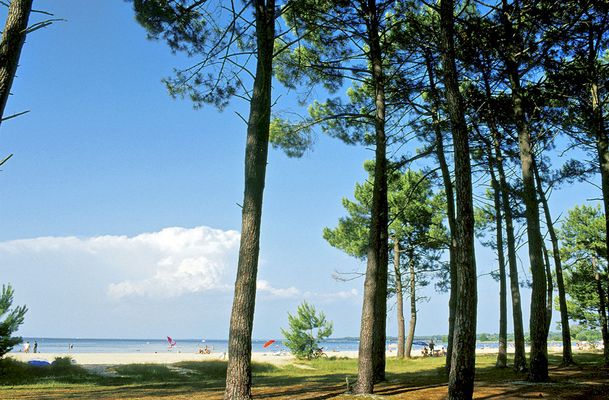 Campéole Navarrosse Plage Aquitania - Biscarrosse visuel 16/38