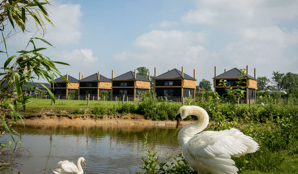 Nieuw Romalo Güeldres - Barneveld visuel 1/5