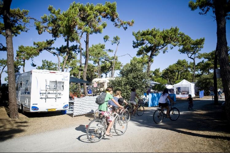 Noirmoutier Países del Loira - Noirmoutier-en-l'Île visuel 2/8 Noirmoutier Países del Loira - Noirmoutier-en-l'Île visuel 2/8