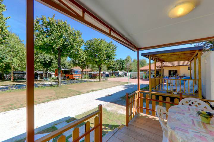 Orchidea Piamonte - Feriolo Baveno visuel 7/8