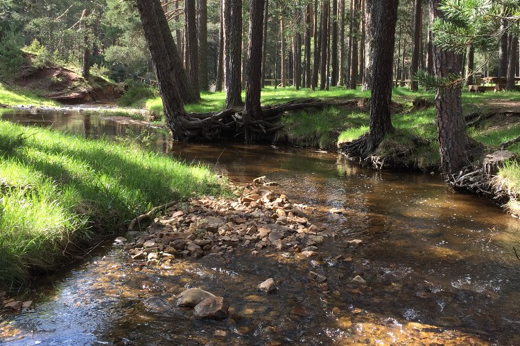 Orea Castilla-La Mancha - Orea visuel 3/7