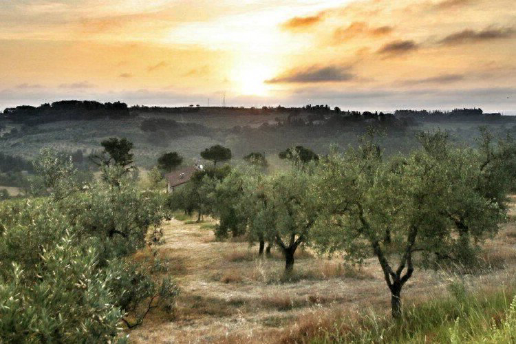 Panorama del Chianti Toscana - Certaldo visuel 2/7 Panorama del Chianti Toscana - Certaldo visuel 2/7