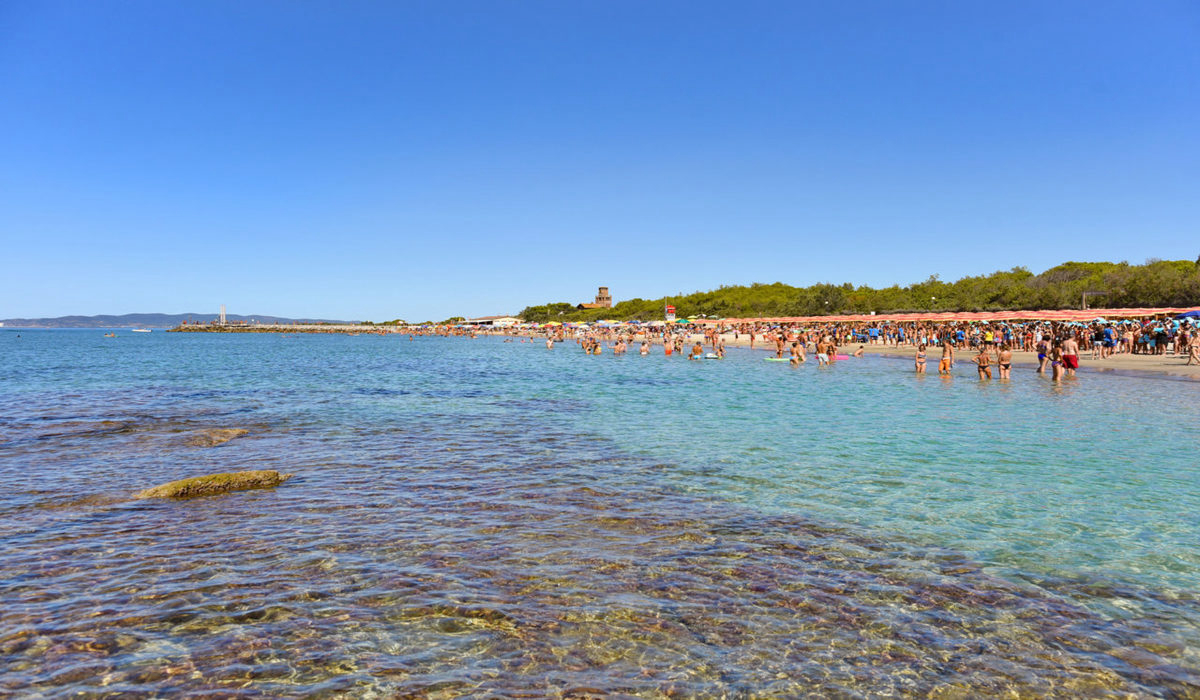 Pappasole Toscana - Riotorto visuel 7/9 Pappasole Toscana - Riotorto visuel 7/9