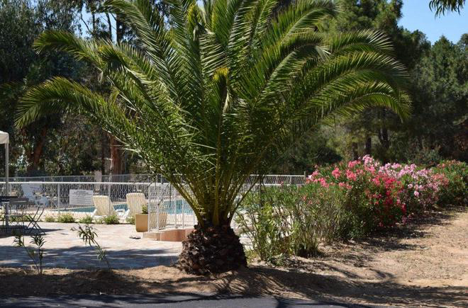 Paradella Córcega - Calenzana visuel 3/7 Paradella Córcega - Calenzana visuel 3/7