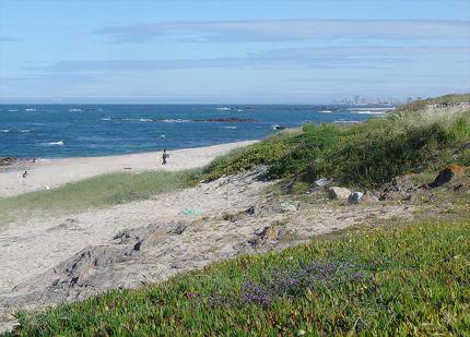 Parque de Campismo Sol de Vila Chã Norte  - Vila do Conde visuel 3/3 Parque de Campismo Sol de Vila Chã Norte  - Vila do Conde visuel 3/3